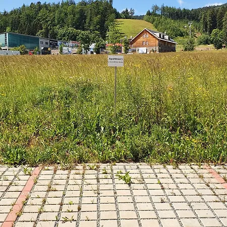 U Sucheho Buku - Bukova Hora Apartament *