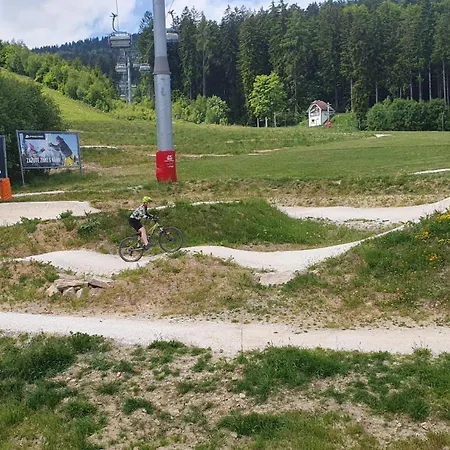 Apartament U Sucheho Buku - Bukova Hora Červená Voda