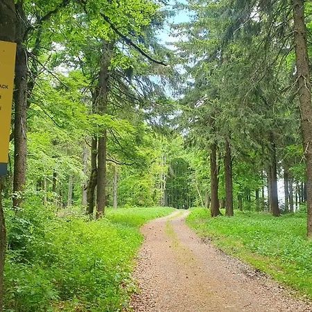 U Sucheho Buku - Bukova Hora